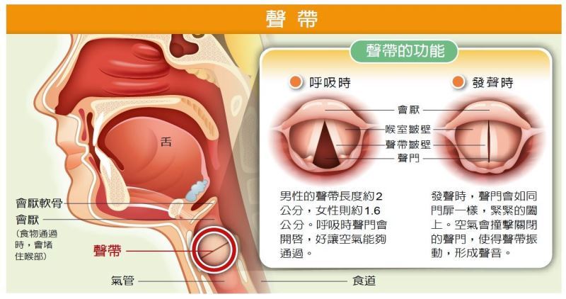 初學者要如何唱歌不傷喉嚨海恩音樂歌唱訓練班