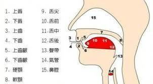 學唱歌基礎功01｜歌唱教學咬字系統簡單介紹