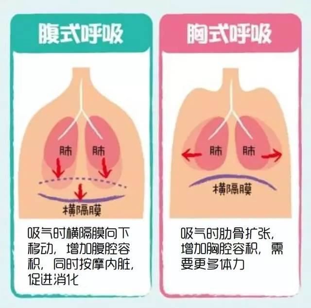 腹式呼吸法歌唱教學 Diaphragmatic breathing 海恩音樂歌唱訓練班